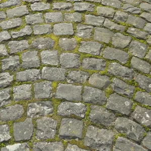 Oprit, Terras en Tuinmeubels